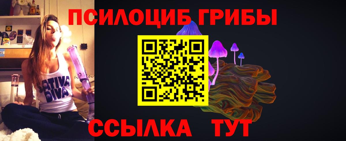 Галлюциногенные грибы Cubensis Богданович
