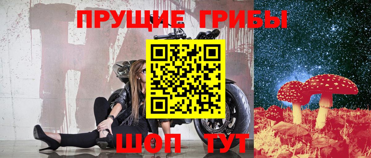 Богданович  Галлюциногенные грибы Cubensis  Вход с VPN 