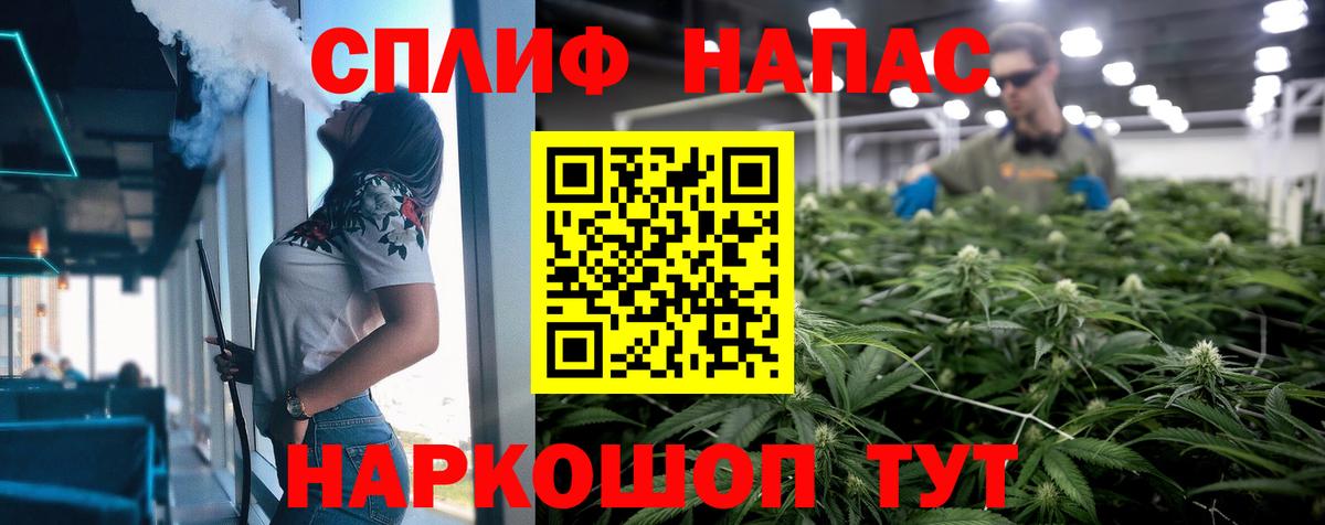 Бошки марихуана сатива Богданович